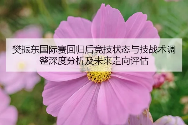fan-zhen-dong-guo-ji-sai-hui-gui-hou-jing-ji-zhuang-tai-yu-ji-zhan-shu-tiao-zheng-shen-du-fen-xi-ji-wei-lai-zou-xiang-2-758.jpg