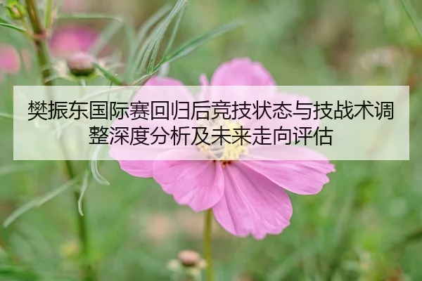 樊振东国际赛回归后竞技状态与技战术调整深度分析及未来走向评估